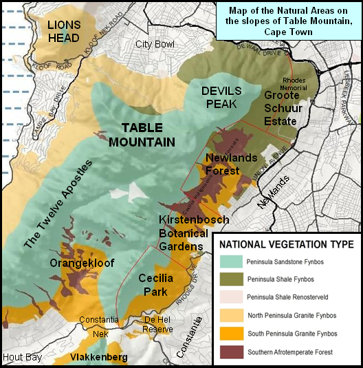 Table_Mountain_Eastern_Slopes_-_Natural_Areas_-_Cape_Town
