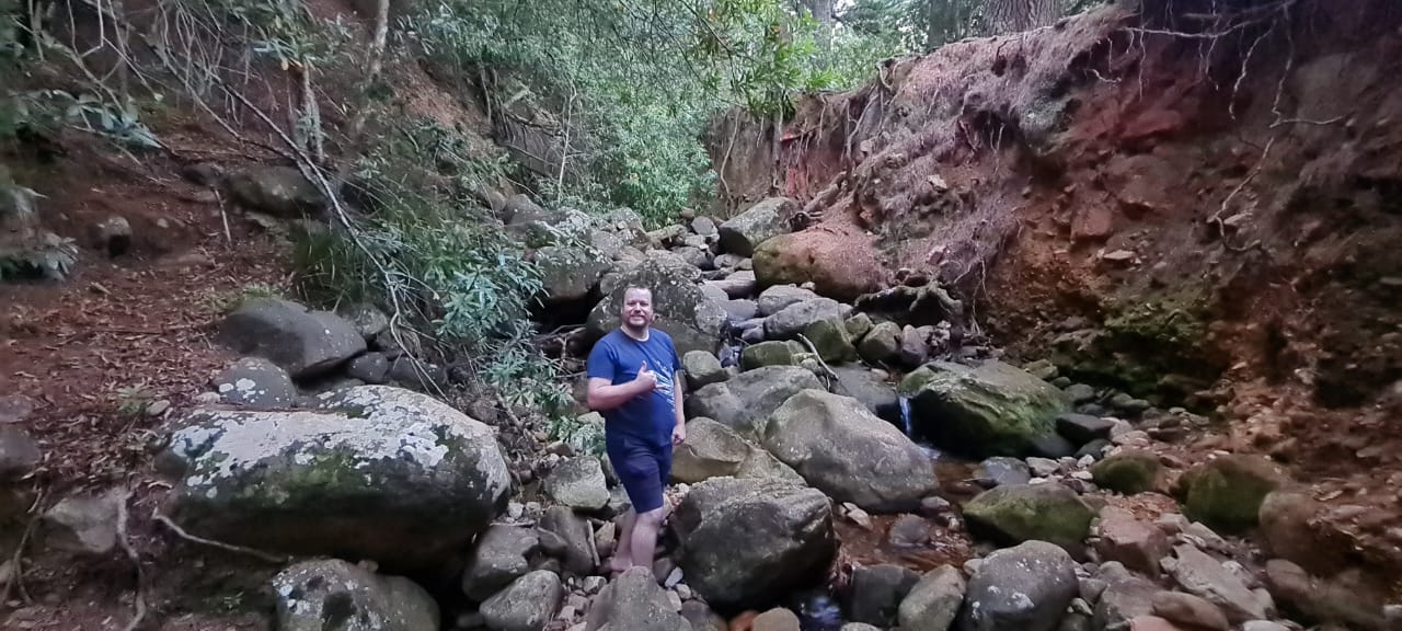 newlands forest